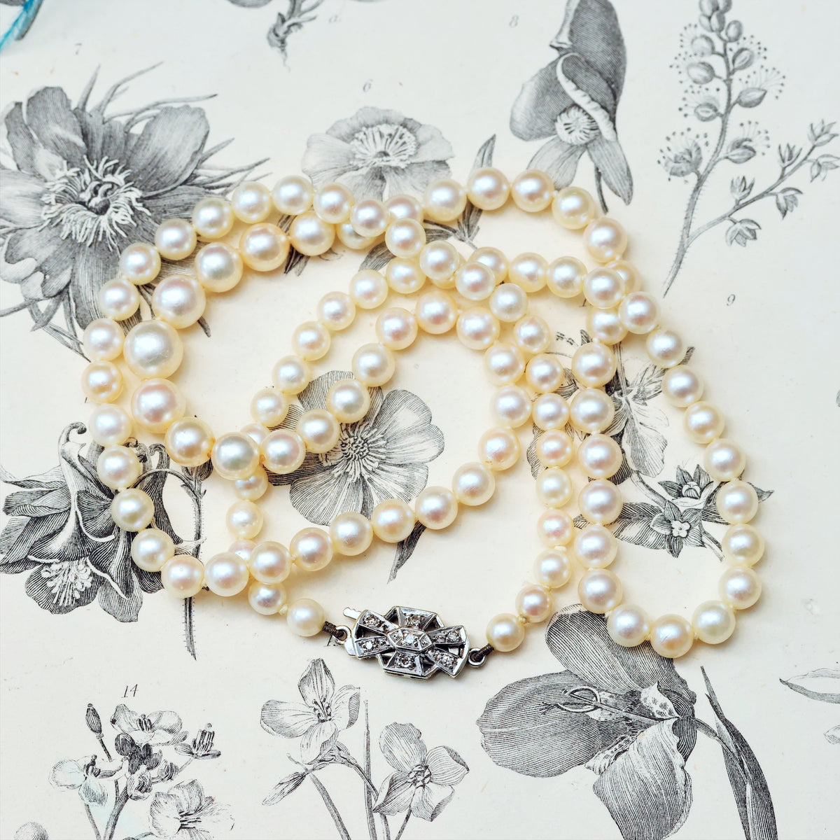 Sensational Quality Vintage Cultured Pearl Necklace