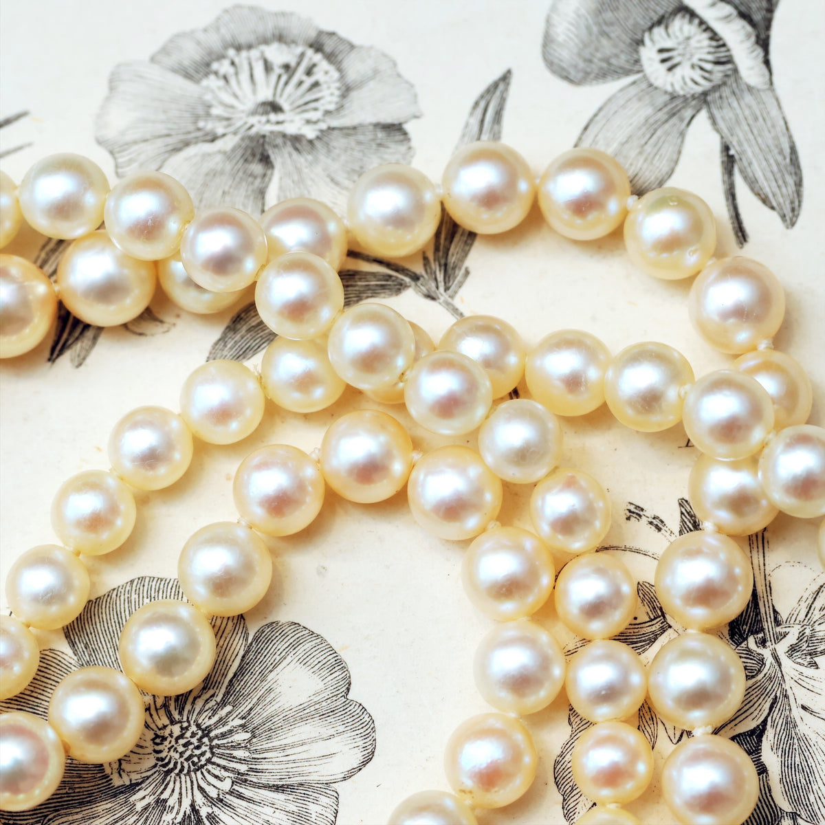 Sensational Quality Vintage Cultured Pearl Necklace