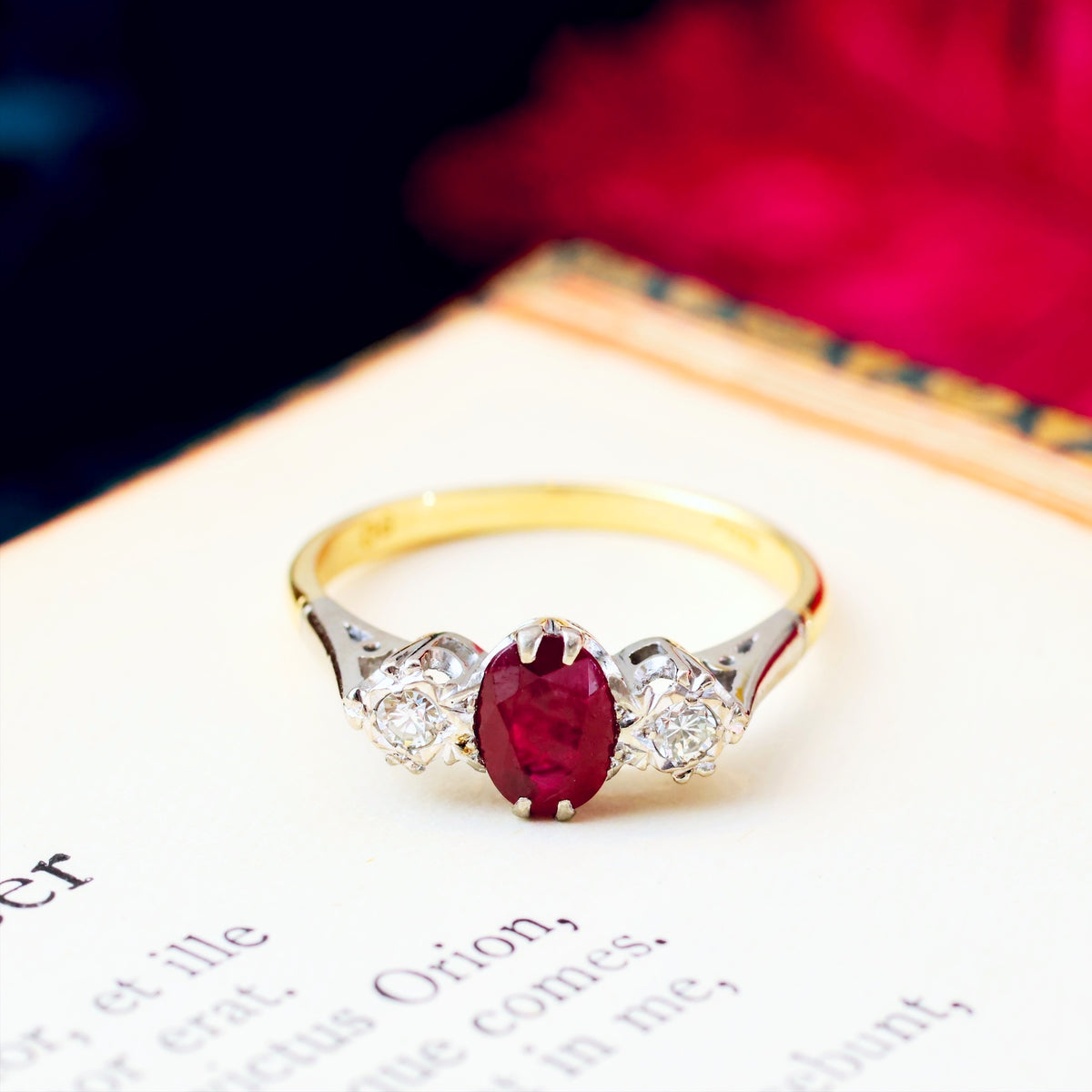 Vintage Ruby & Diamond Trilogy Engagement Ring