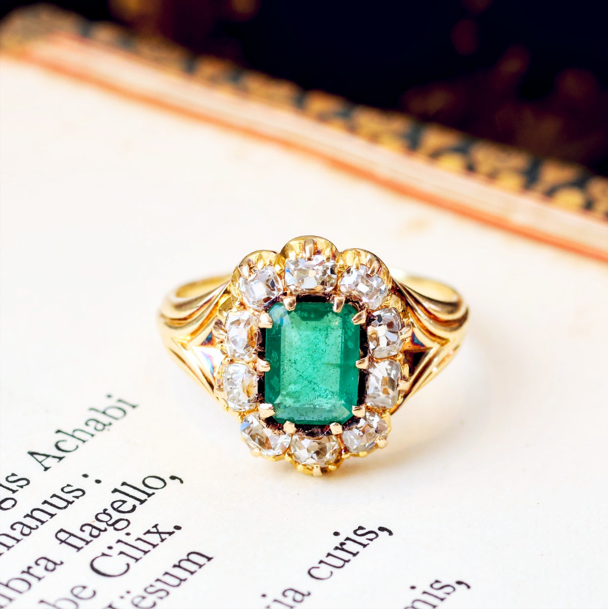 Antique Early Victorian Emerald & Diamond Cluster Ring