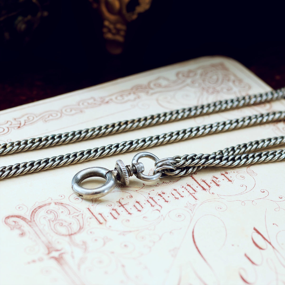 Antique Victorian Silver Longuard Chain