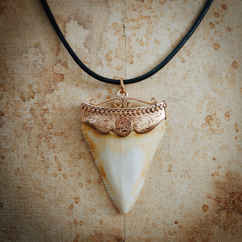 Antique Great White Shark Tooth Pendant