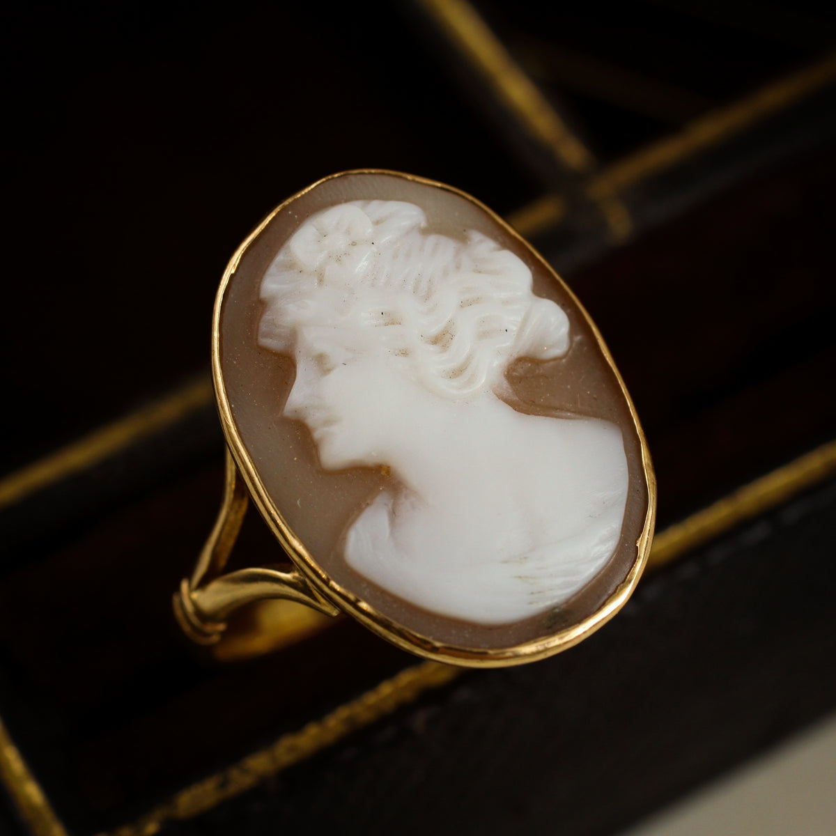 Romantic Antique Edwardian Portrait Shell Cameo