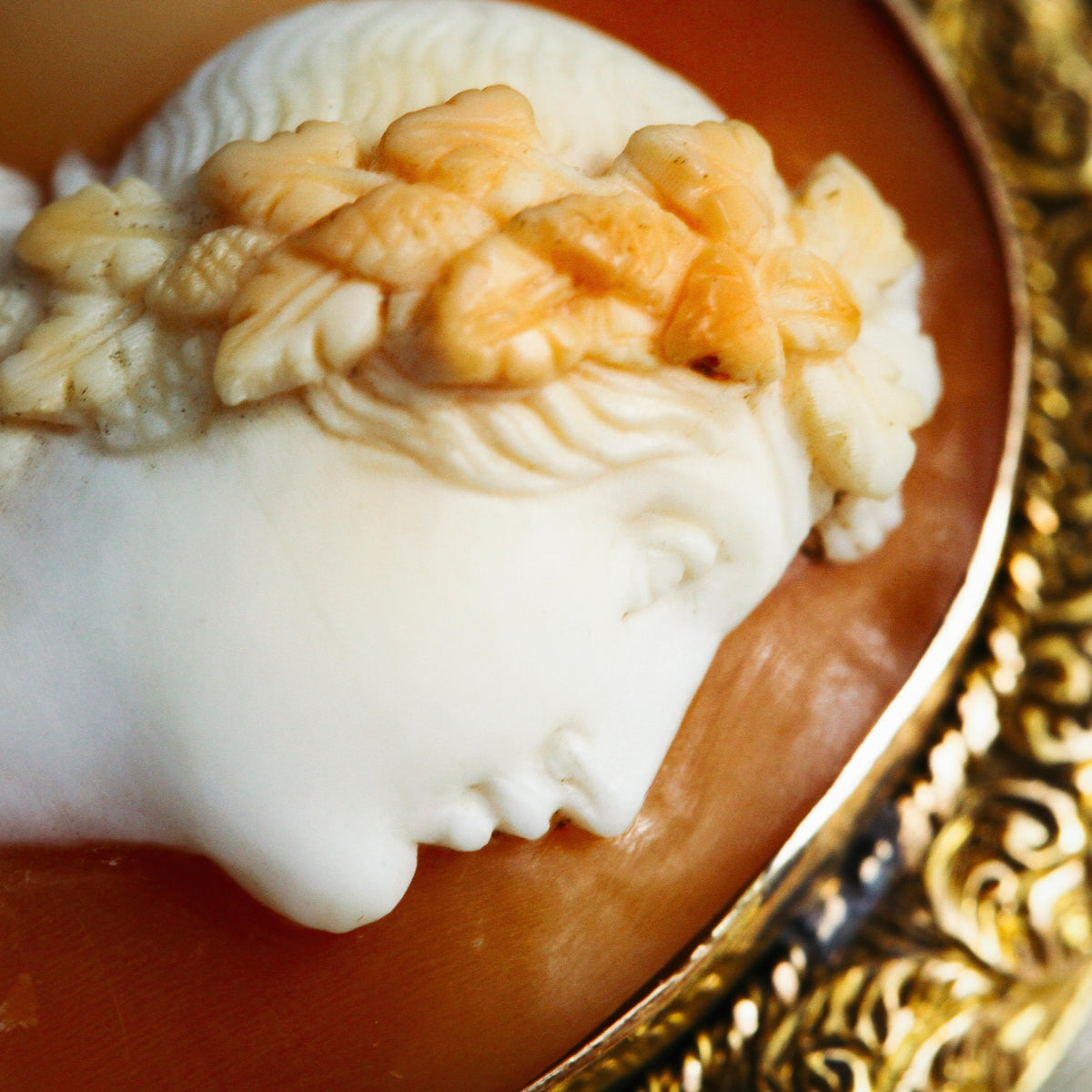 Rare Superior Hand Carved Shell Cameo of Dionysus