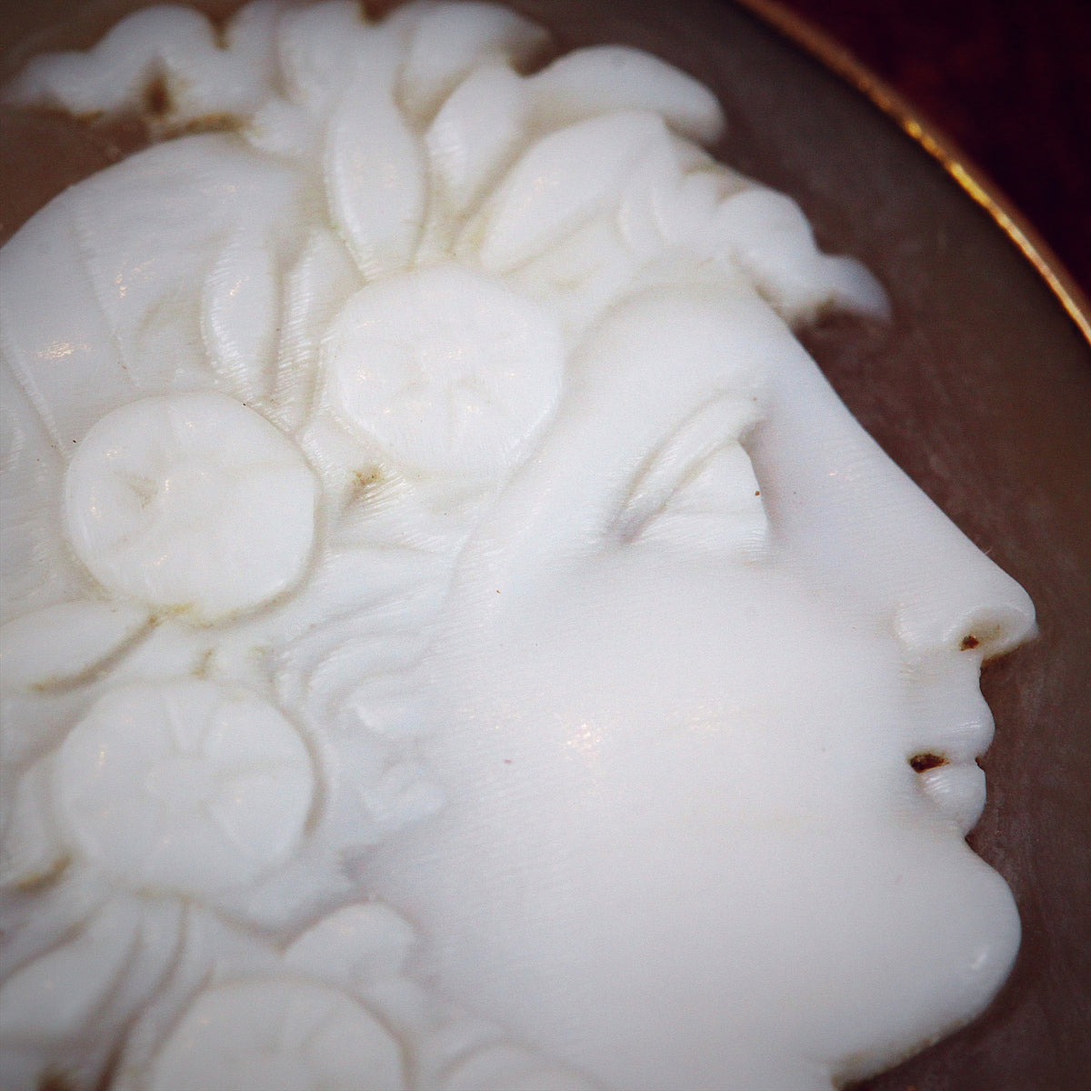 Antique Shell Cameo of Goddess Flora