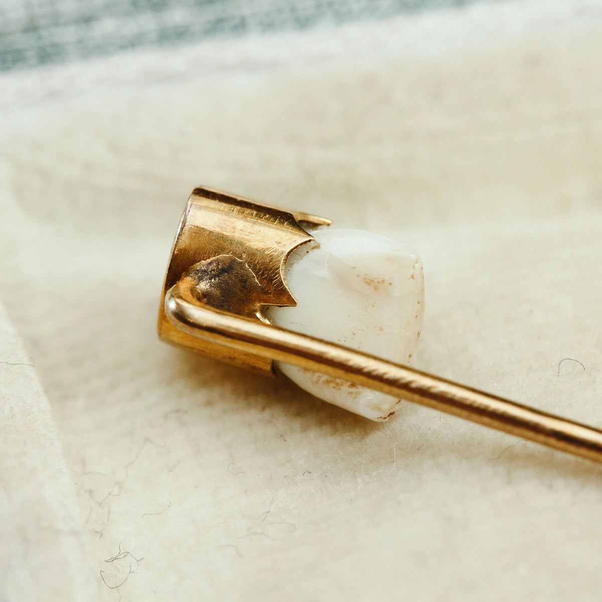 Victorian Baby Tooth Stick Pin