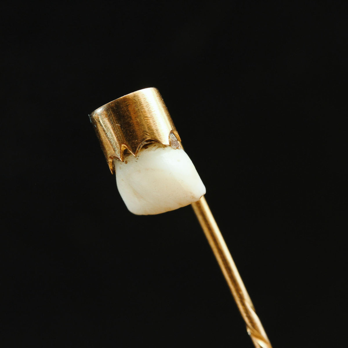 Victorian Baby Tooth Stick Pin