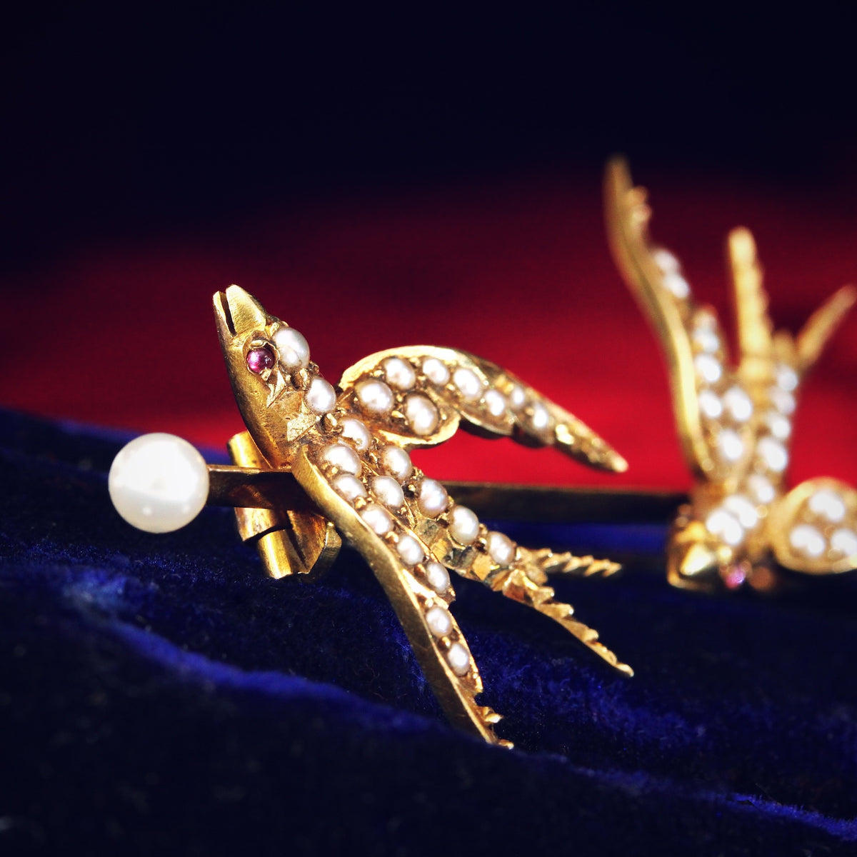 Victorian Romance! 15ct Gold Swallows Always Return Brooch